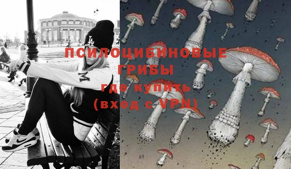 дурь Абдулино